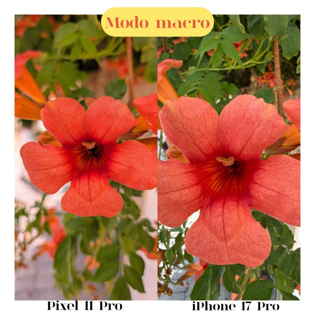 Comparativa de modo retrato entre Pixel 11 Pro y iPhone 17 Pro